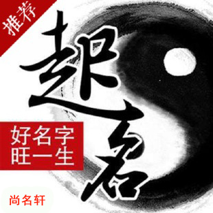 城西宝宝起名